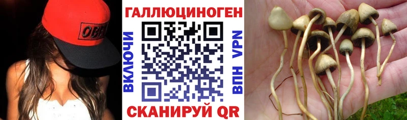 мориарти формула  купить закладку  Черепаново  Галлюциногенные грибы прущие грибы 